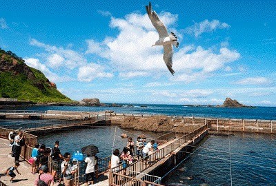 ㈱小樽水族館公社～おたる水族館～