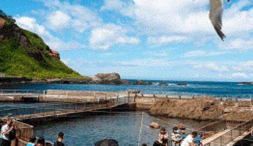 株式会社小樽水族館公社